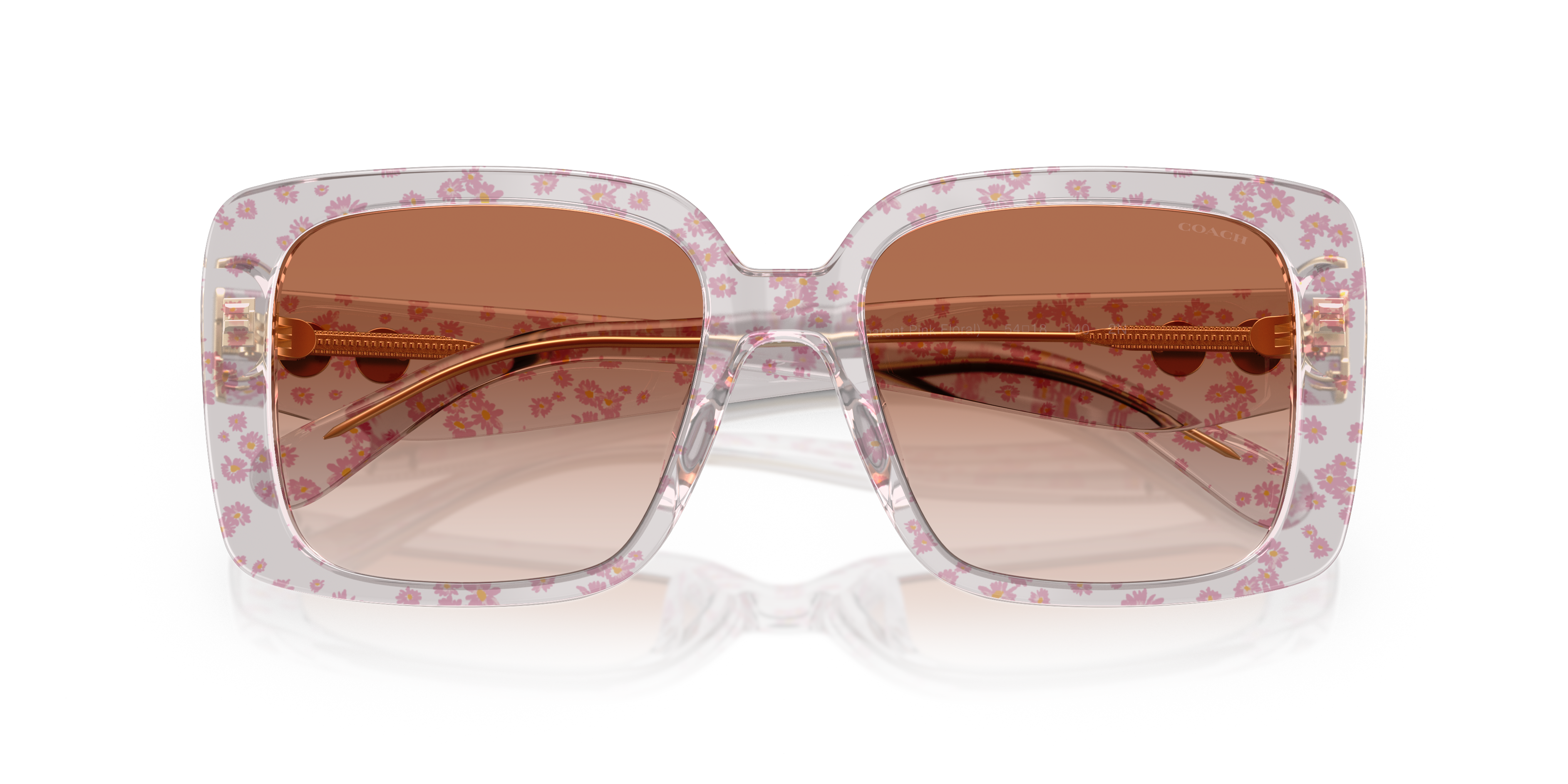 Coach HC8424U 595313 Cad54 